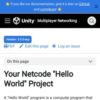 Your Netcode "Hello World" Project | Unity Multiplayer Networking